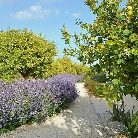 Papeda-tenuta Il Cavaliere D'italia Noto-vista Fronte Mare E Piscina Privata Villa Noto